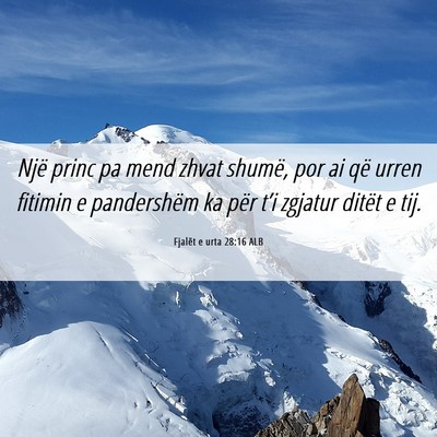 Picture 06 - Fjalët e urta 28:16 ALB - Një princ pa mend zhvat shumë, por ai që urren - Bible Verse Picture
