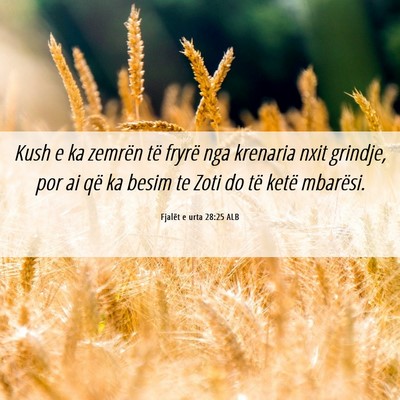 Picture 06 - Fjalët e urta 28:25 ALB - Kush e ka zemrën të fryrë nga krenaria nxit - Bible Verse Picture