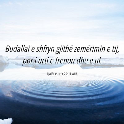 Picture 06 - Fjalët e urta 29:11 ALB - Budallai e shfryn gjithë zemërimin e tij, por i - Bible Verse Picture