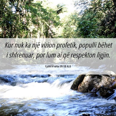 Picture 06 - Fjalët e urta 29:18 ALB - Kur nuk ka një vizion profetik, populli bëhet i - Bible Verse Picture