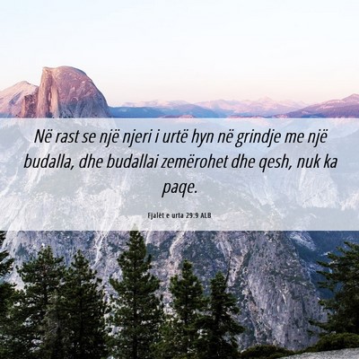 Picture 06 - Fjalët e urta 29:9 ALB - Në rast se një njeri i urtë hyn në grindje me - Bible Verse Picture
