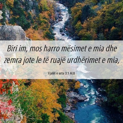 Picture 06 - Fjalët e urta 3:1 ALB - Biri im, mos harro mësimet e mia dhe zemra jote - Bible Verse Picture