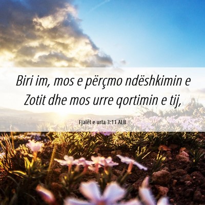 Picture 06 - Fjalët e urta 3:11 ALB - Biri im, mos e përçmo ndëshkimin e Zotit dhe - Bible Verse Picture