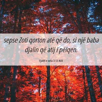 Picture 06 - Fjalët e urta 3:12 ALB - sepse Zoti qorton atë që do, si një baba - Bible Verse Picture