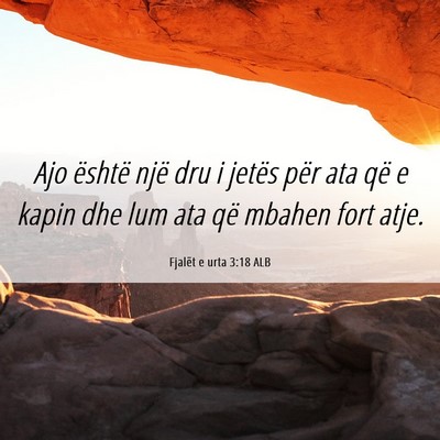 Picture 06 - Fjalët e urta 3:18 ALB - Ajo është një dru i jetës për ata që e - Bible Verse Picture