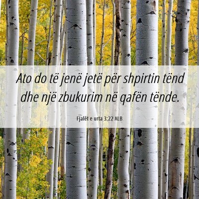 Picture 06 - Fjalët e urta 3:22 ALB - Ato do të jenë jetë për shpirtin tënd dhe - Bible Verse Picture