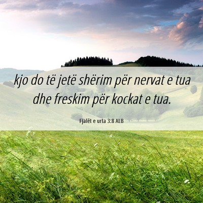 Picture 06 - Fjalët e urta 3:8 ALB - kjo do të jetë shërim për nervat e tua dhe - Bible Verse Picture