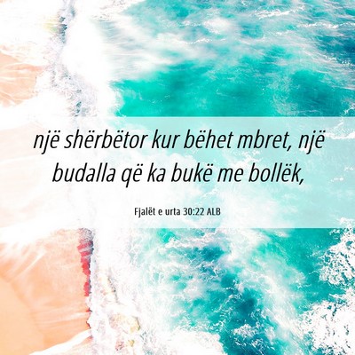 Picture 06 - Fjalët e urta 30:22 ALB - një shërbëtor kur bëhet mbret, një budalla - Bible Verse Picture