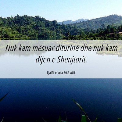 Picture 06 - Fjalët e urta 30:3 ALB - Nuk kam mësuar diturinë dhe nuk kam dijen e - Bible Verse Picture