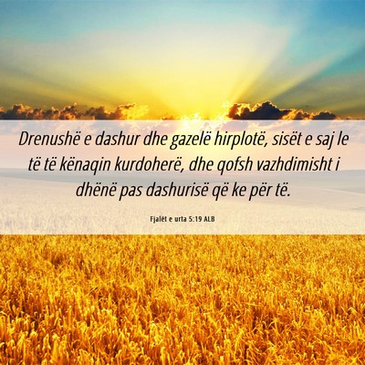 Picture 06 - Fjalët e urta 5:19 ALB - Drenushë e dashur dhe gazelë hirplotë, sisët - Bible Verse Picture