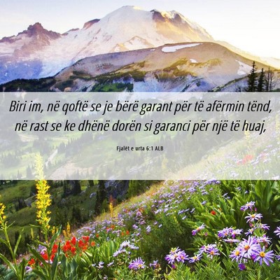 Picture 06 - Fjalët e urta 6:1 ALB - Biri im, në qoftë se je bërë garant për të - Bible Verse Picture