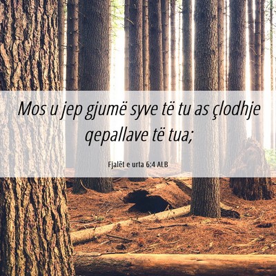 Picture 06 - Fjalët e urta 6:4 ALB - Mos u jep gjumë syve të tu as çlodhje - Bible Verse Picture