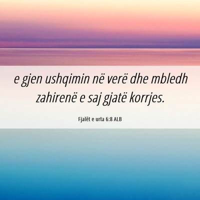 Picture 06 - Fjalët e urta 6:8 ALB - e gjen ushqimin në verë dhe mbledh zahirenë e - Bible Verse Picture
