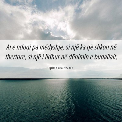 Picture 06 - Fjalët e urta 7:22 ALB - Ai e ndoqi pa mëdyshje, si një ka që shkon në - Bible Verse Picture