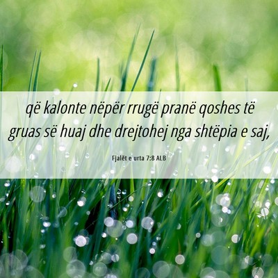 Picture 06 - Fjalët e urta 7:8 ALB - që kalonte nëpër rrugë pranë qoshes të - Bible Verse Picture