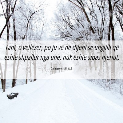 Picture 06 - Galatasve 1:11 ALB - Tani, o vëllezër, po ju vë në dijeni se - Bible Verse Picture