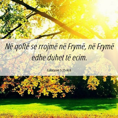 Picture 06 - Galatasve 5:25 ALB - Në qoftë se rrojmë në Frymë, në Frymë edhe - Bible Verse Picture