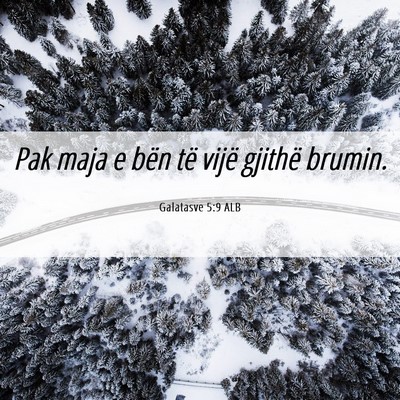 Picture 06 - Galatasve 5:9 ALB - Pak maja e bën të vijë gjithë - Bible Verse Picture