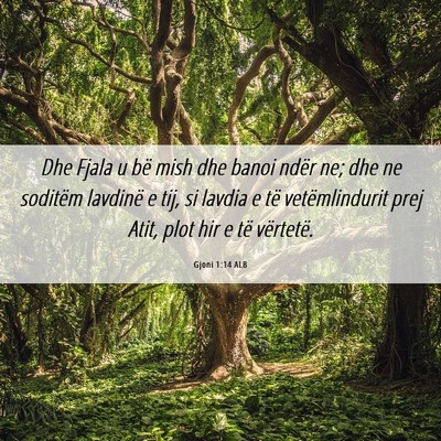 Picture 06 - Gjoni 1:14 ALB - Dhe Fjala u bë mish dhe banoi ndër ne; dhe ne - Bible Verse Picture