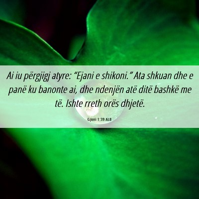 Picture 06 - Gjoni 1:39 ALB - Ai iu përgjigj atyre: “Ejani e shikoni.” Ata - Bible Verse Picture