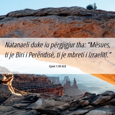 Picture 06 - Gjoni 1:49 ALB - Natanaeli duke iu përgjigjur tha: “Mësues, ti - Bible Verse Picture