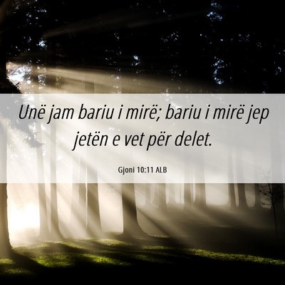 Picture 06 - Gjoni 10:11 ALB - Unë jam bariu i mirë; bariu i mirë jep jetën - Bible Verse Picture