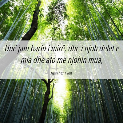 Picture 06 - Gjoni 10:14 ALB - Unë jam bariu i mirë, dhe i njoh delet e mia - Bible Verse Picture
