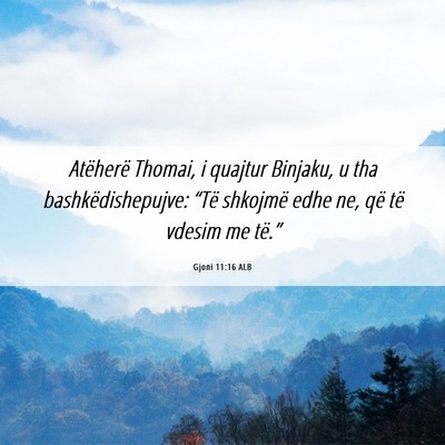 Picture 06 - Gjoni 11:16 ALB - Atëherë Thomai, i quajtur Binjaku, u tha - Bible Verse Picture