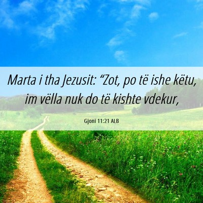 Picture 06 - Gjoni 11:21 ALB - Marta i tha Jezusit: “Zot, po të ishe këtu, - Bible Verse Picture