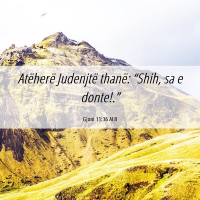 Picture 06 - Gjoni 11:36 ALB - Atëherë Judenjtë thanë: “Shih, sa e - Bible Verse Picture