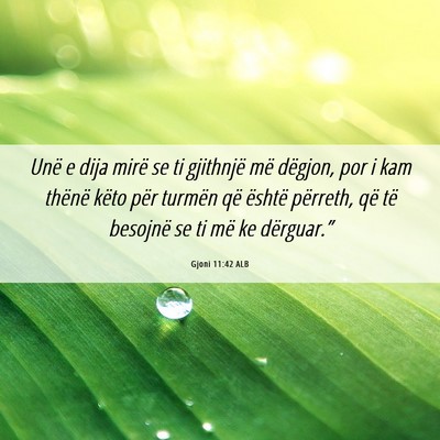 Picture 06 - Gjoni 11:42 ALB - Unë e dija mirë se ti gjithnjë më dëgjon, - Bible Verse Picture