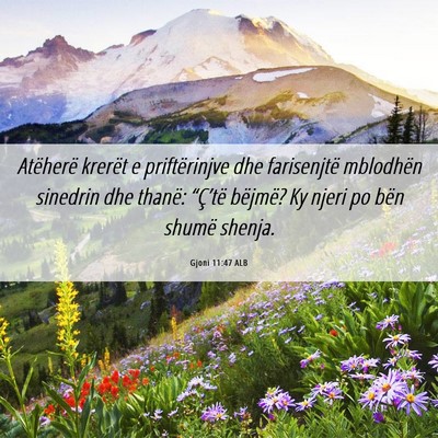 Picture 06 - Gjoni 11:47 ALB - Atëherë krerët e priftërinjve dhe farisenjtë - Bible Verse Picture