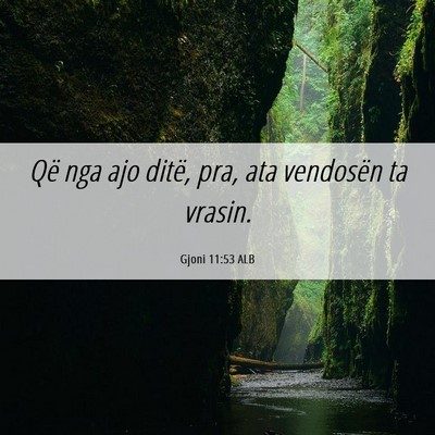 Picture 06 - Gjoni 11:53 ALB - Që nga ajo ditë, pra, ata vendosën ta - Bible Verse Picture