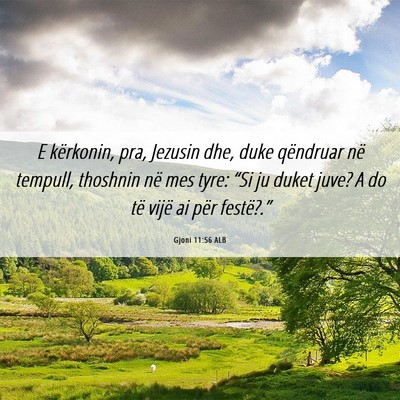 Picture 06 - Gjoni 11:56 ALB - E kërkonin, pra, Jezusin dhe, duke qëndruar në - Bible Verse Picture