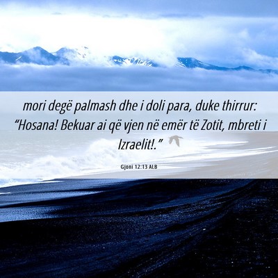 Picture 06 - Gjoni 12:13 ALB - mori degë palmash dhe i doli para, duke thirrur: - Bible Verse Picture
