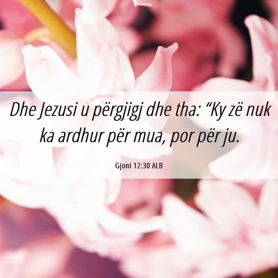 Picture 06 - Gjoni 12:30 ALB - Dhe Jezusi u përgjigj dhe tha: “Ky zë nuk ka - Bible Verse Picture