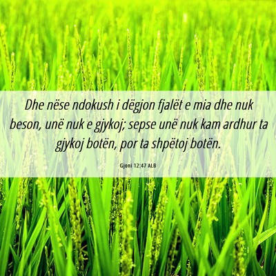 Picture 06 - Gjoni 12:47 ALB - Dhe nëse ndokush i dëgjon fjalët e mia dhe nuk - Bible Verse Picture