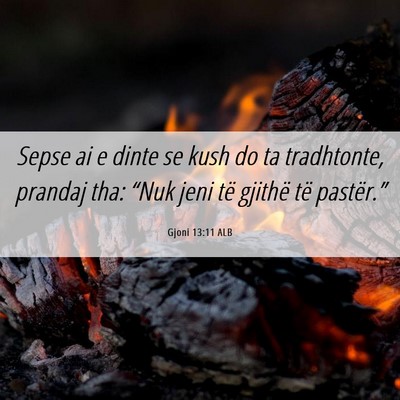 Picture 06 - Gjoni 13:11 ALB - Sepse ai e dinte se kush do ta tradhtonte, - Bible Verse Picture
