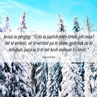 Picture 06 - Gjoni 13:38 ALB - Jezusi iu përgjigj: “Ti do ta japësh jetën - Bible Verse Picture