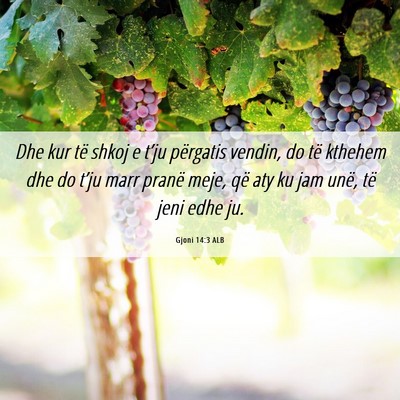 Picture 06 - Gjoni 14:3 ALB - Dhe kur të shkoj e t’ju përgatis vendin, do - Bible Verse Picture