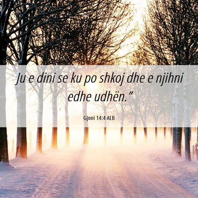 Picture 06 - Gjoni 14:4 ALB - Ju e dini se ku po shkoj dhe e njihni edhe - Bible Verse Picture