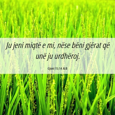 Picture 06 - Gjoni 15:14 ALB - Ju jeni miqtë e mi, nëse bëni gjërat që unë - Bible Verse Picture