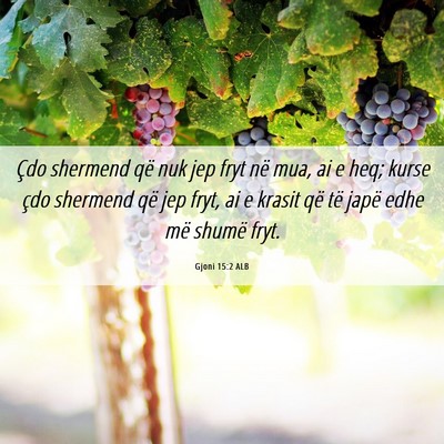 Picture 06 - Gjoni 15:2 ALB - Çdo shermend që nuk jep fryt në mua, ai e heq; - Bible Verse Picture