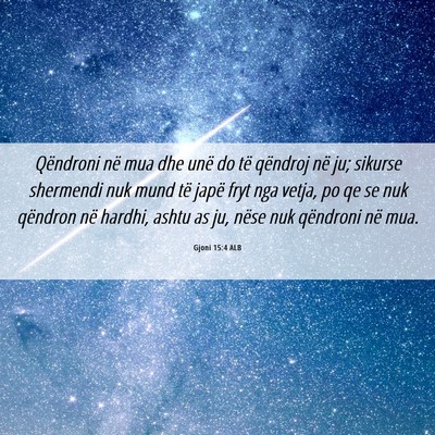Picture 06 - Gjoni 15:4 ALB - Qëndroni në mua dhe unë do të qëndroj në - Bible Verse Picture