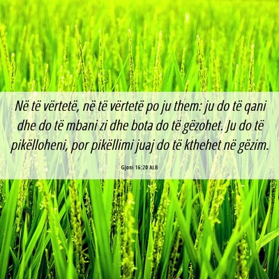Picture 06 - Gjoni 16:20 ALB - Në të vërtetë, në të vërtetë po ju them: - Bible Verse Picture