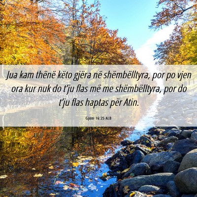 Picture 06 - Gjoni 16:25 ALB - Jua kam thënë këto gjëra në shëmbëlltyra, - Bible Verse Picture