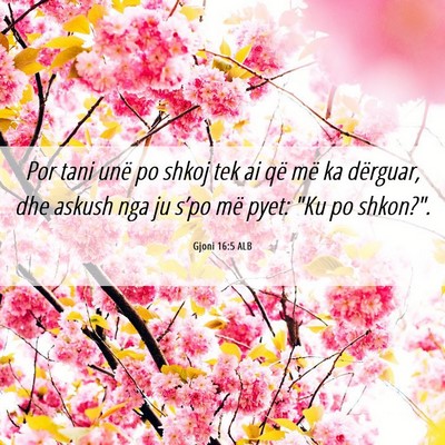 Picture 06 - Gjoni 16:5 ALB - Por tani unë po shkoj tek ai që më ka - Bible Verse Picture