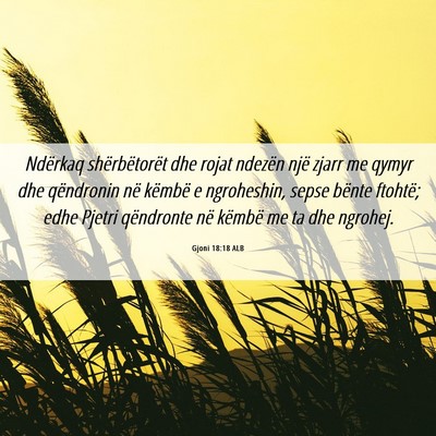 Picture 06 - Gjoni 18:18 ALB - Ndërkaq shërbëtorët dhe rojat ndezën një - Bible Verse Picture