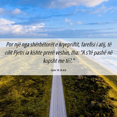 Picture 06 - Gjoni 18:26 ALB - Por një nga shërbëtorët e kryepriftit, - Bible Verse Picture