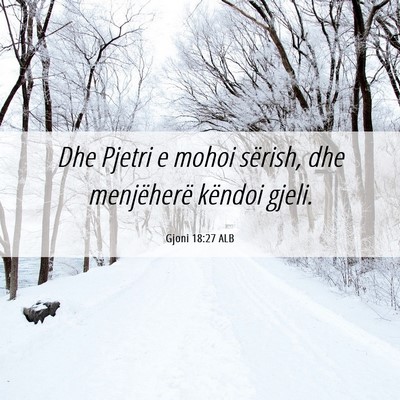 Picture 06 - Gjoni 18:27 ALB - Dhe Pjetri e mohoi sërish, dhe menjëherë - Bible Verse Picture